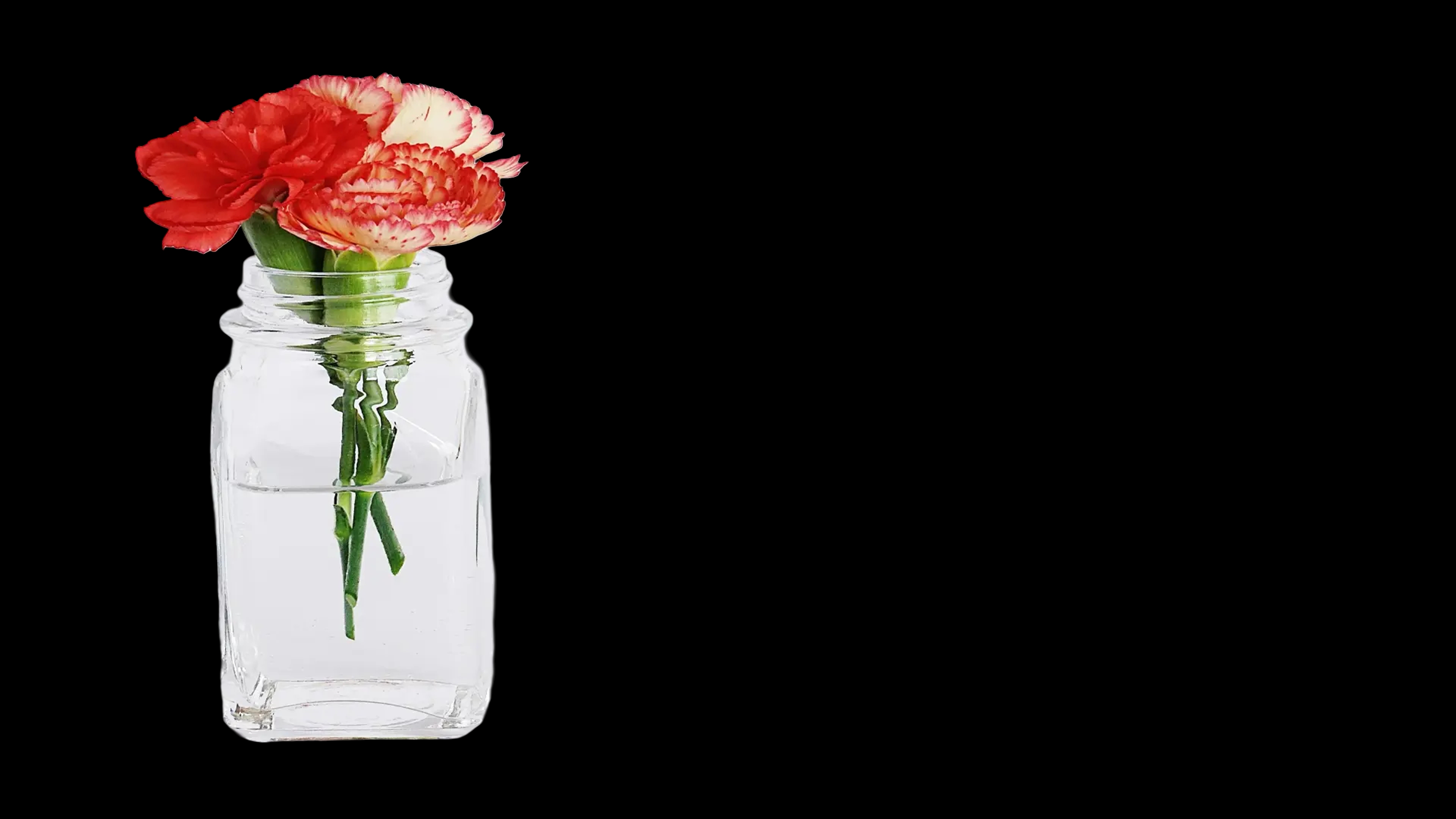 about-banner